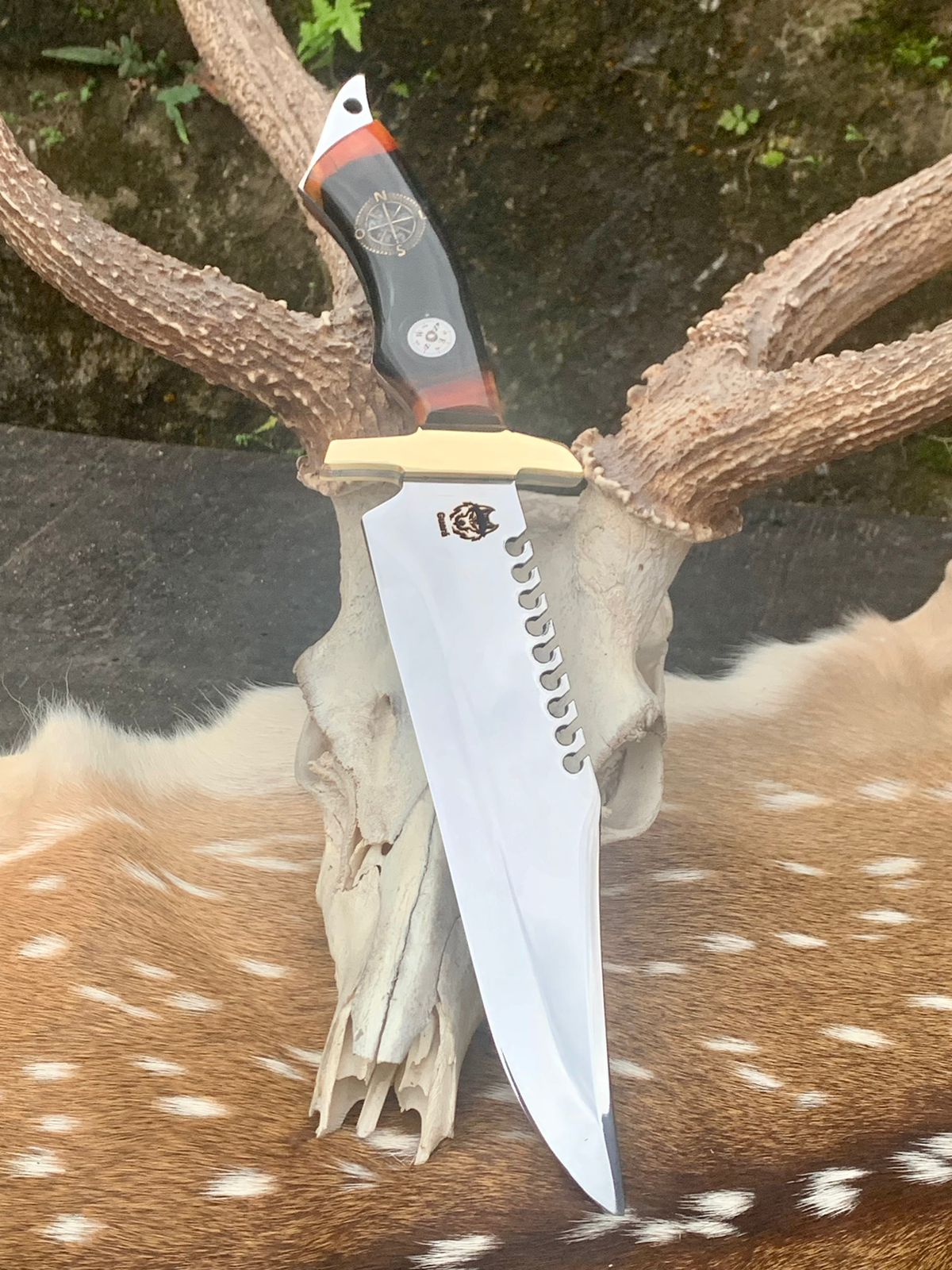 WhatsApp Image 2026-02-27 at 10.35.27 (1)