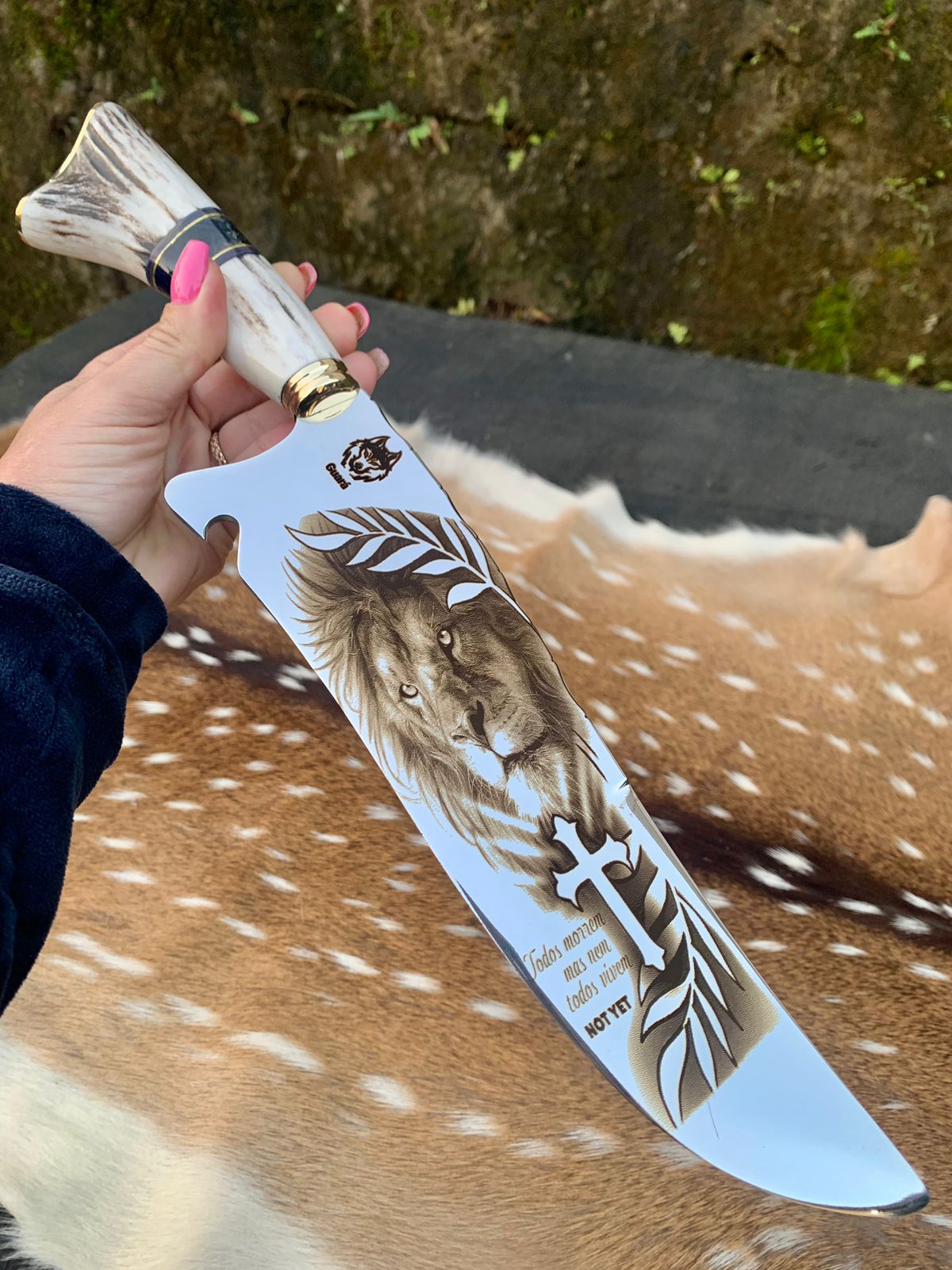 WhatsApp Image 2026-02-27 at 10.35.30 (1)