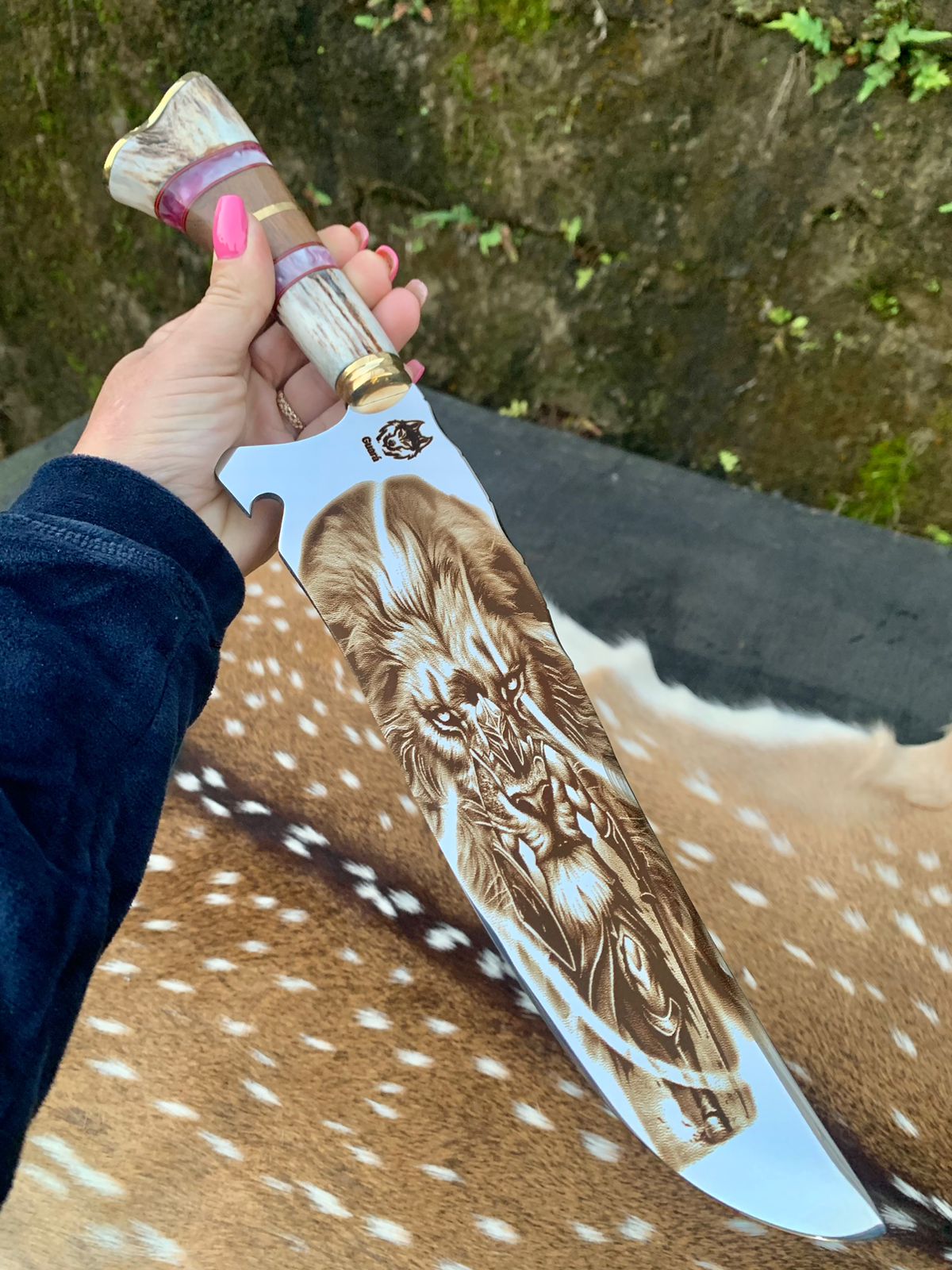 WhatsApp Image 2026-02-27 at 10.35.31